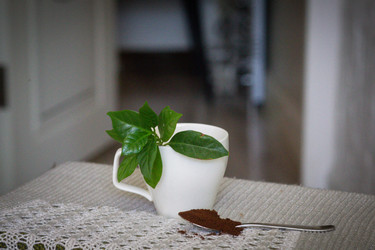 Similar image 21498476