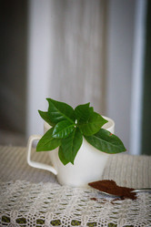 Similar image 21498477