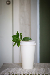 Similar image 21498478