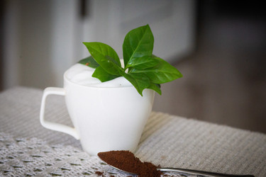 Similar image 21498481