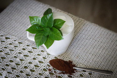 Similar image 21498482