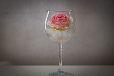 Similar image 21498751