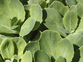 Similar image 21498322