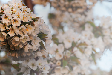 Similar image 21498323