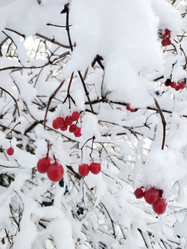 Similar image 21498444