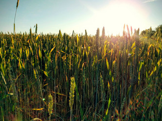 Similar image 21498446