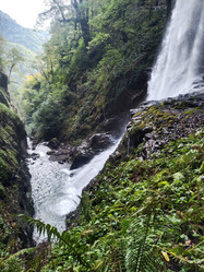 Similar image 21498450