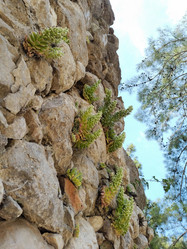 Similar image 21498890