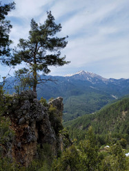 Similar image 21498452