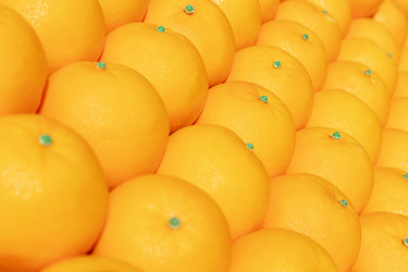 Similar image 21498339