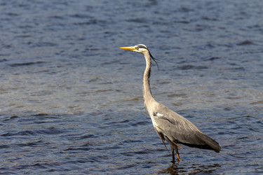 Similar image 21500638