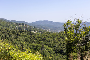 Similar image 21500649