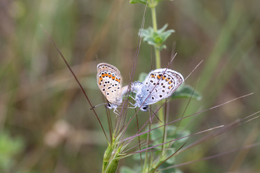 Similar image 21500652