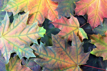 Similar image 21498792