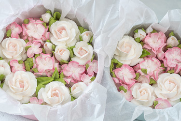 Similar image 21498997