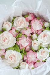 Similar image 21499002