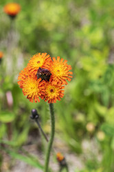 Similar image 21498897