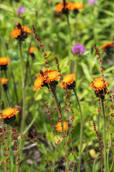 Similar image 21498898