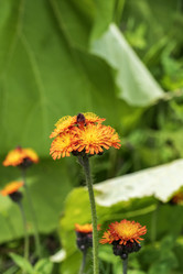 Similar image 21499033