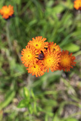 Similar image 21499034