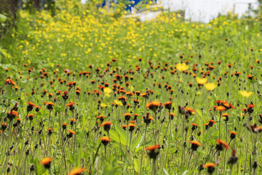 Similar image 21499035