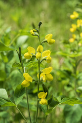 Similar image 21500146