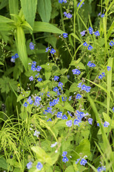 Similar image 21500148