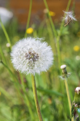 Similar image 21500149