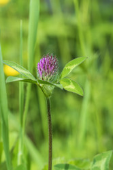 Similar image 21499037