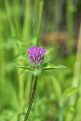 Similar image 21499038