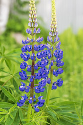 Similar image 21499039