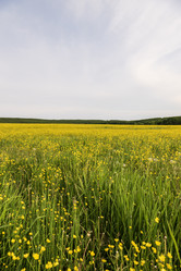 Similar image 21499041