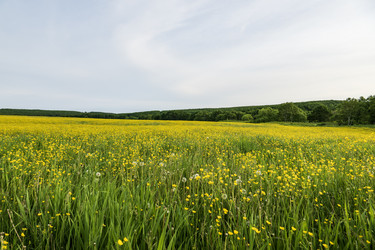 Similar image 21499042