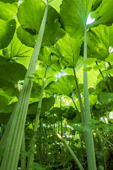 Similar image 21499043