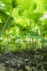 Similar image 21499045