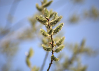 Similar image 21501796