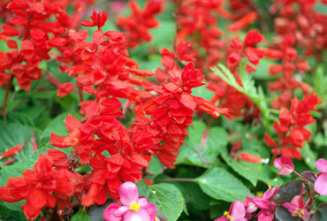 Similar image 21502242