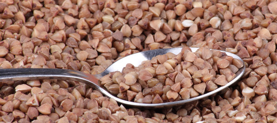 Similar image 21502244