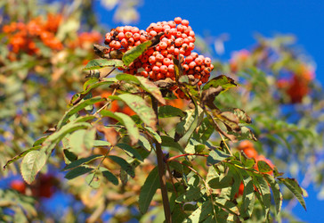 Similar image 21502245