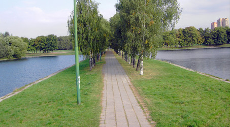 Similar image 21502250