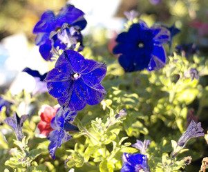 Similar image 21502269