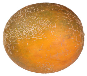 Similar image 21502272