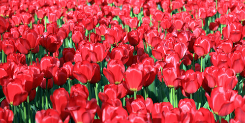 Similar image 21501659