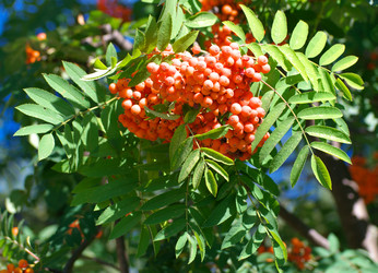 Similar image 21501670