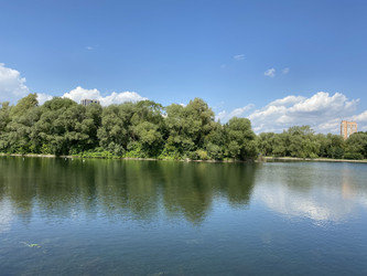 Similar image 21501673