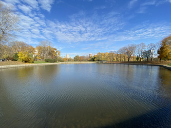 Similar image 21501675