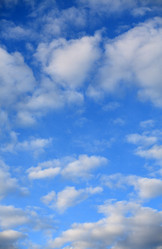 Similar image 21501676