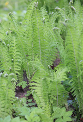 Similar image 21501691