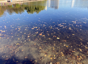 Similar image 21501748