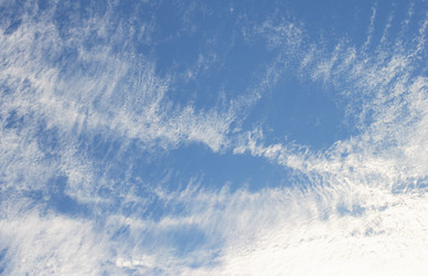 Similar image 21501767